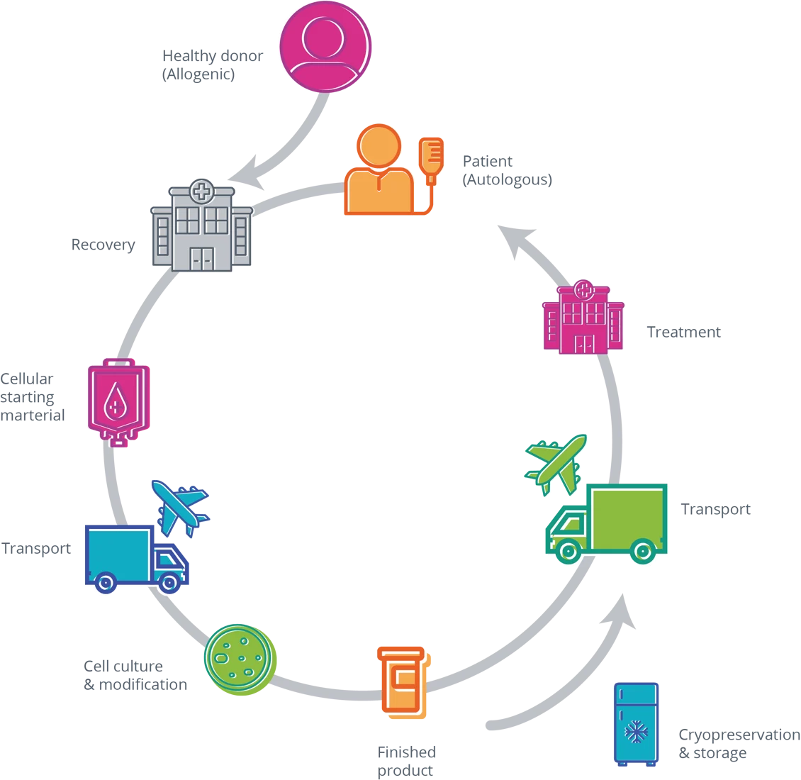 This image illustrates the cell therapy process cycle, starting from a healthy donor or patient, moving through treatment, transport, and cellular modification, and progressing to cryopreservation and recovery.