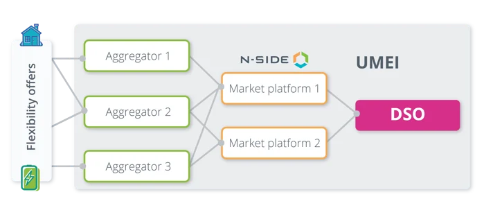 Image describing the different flexibility offers for DSOs