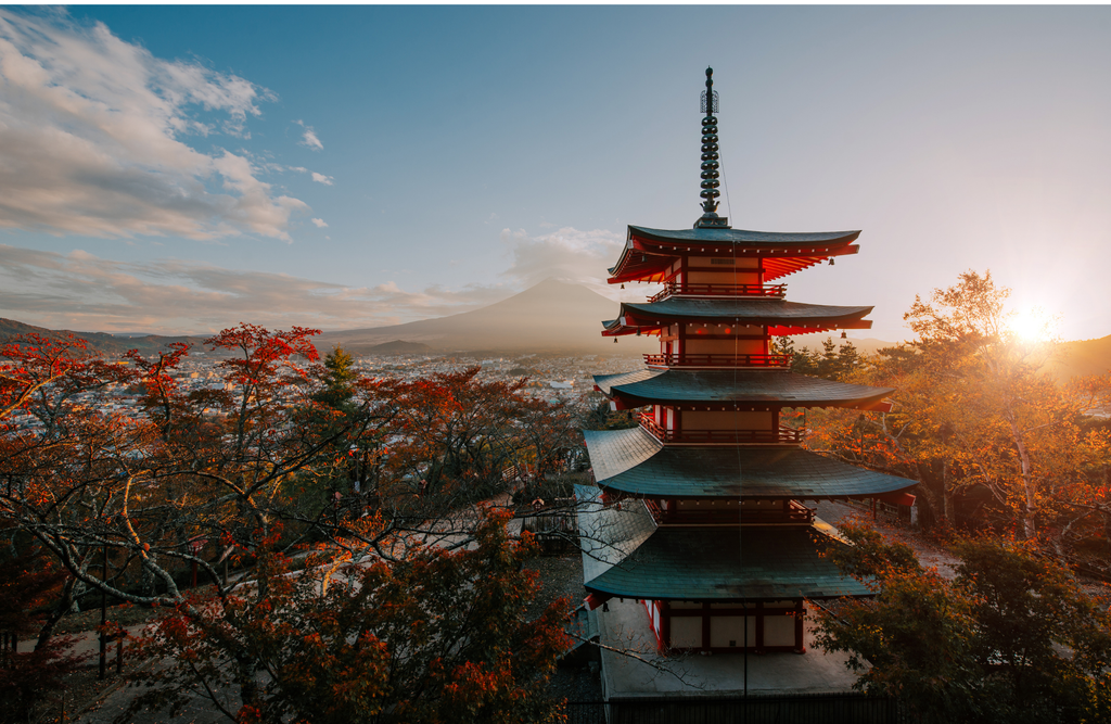 JEPX and N-SIDE mark six months of successful collaboration improving Japan's Energy Market