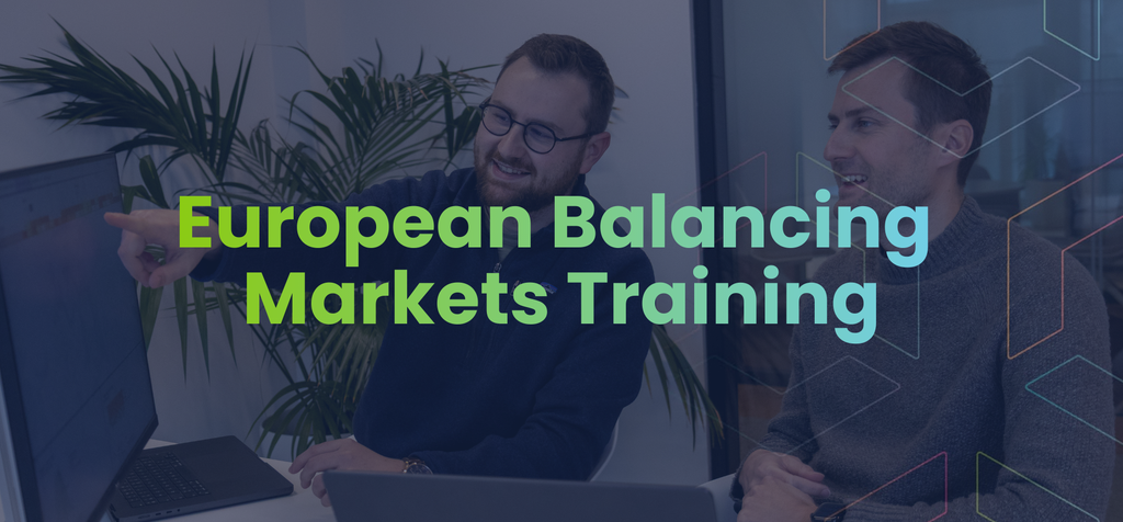 European Balancing Markets Training