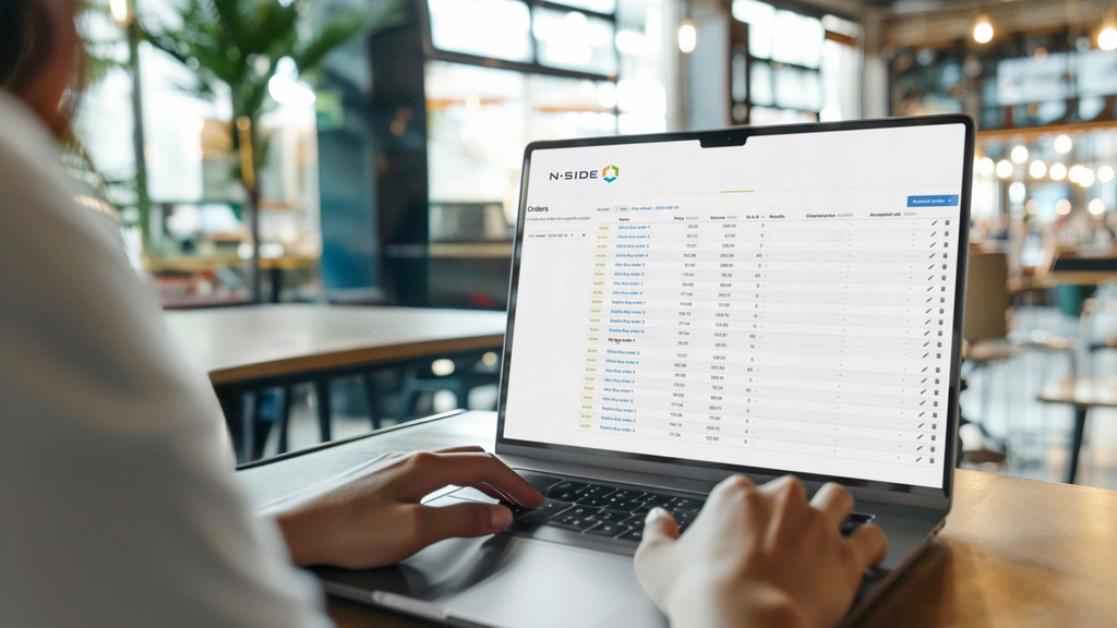 Balancing & Ancillary Services