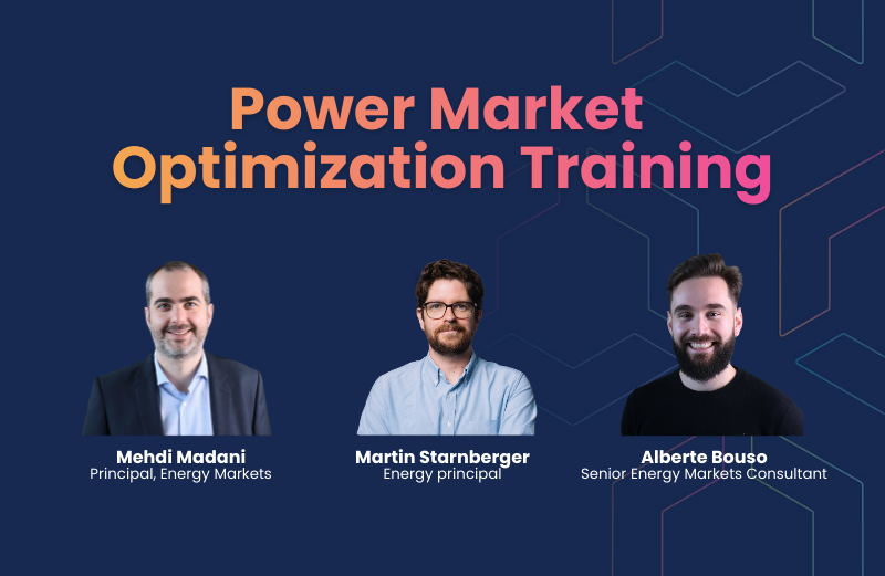 N-SIDE Power Market Optimization Training - March 2026