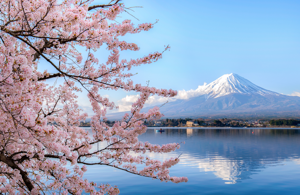 N-SIDE launches its Power Matching algorithm in Japan, to determine day-ahead electricity prices