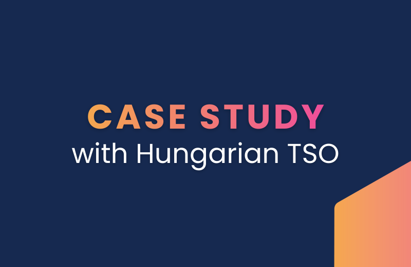 Drivers of High Energy Prices in Southeastern Europe