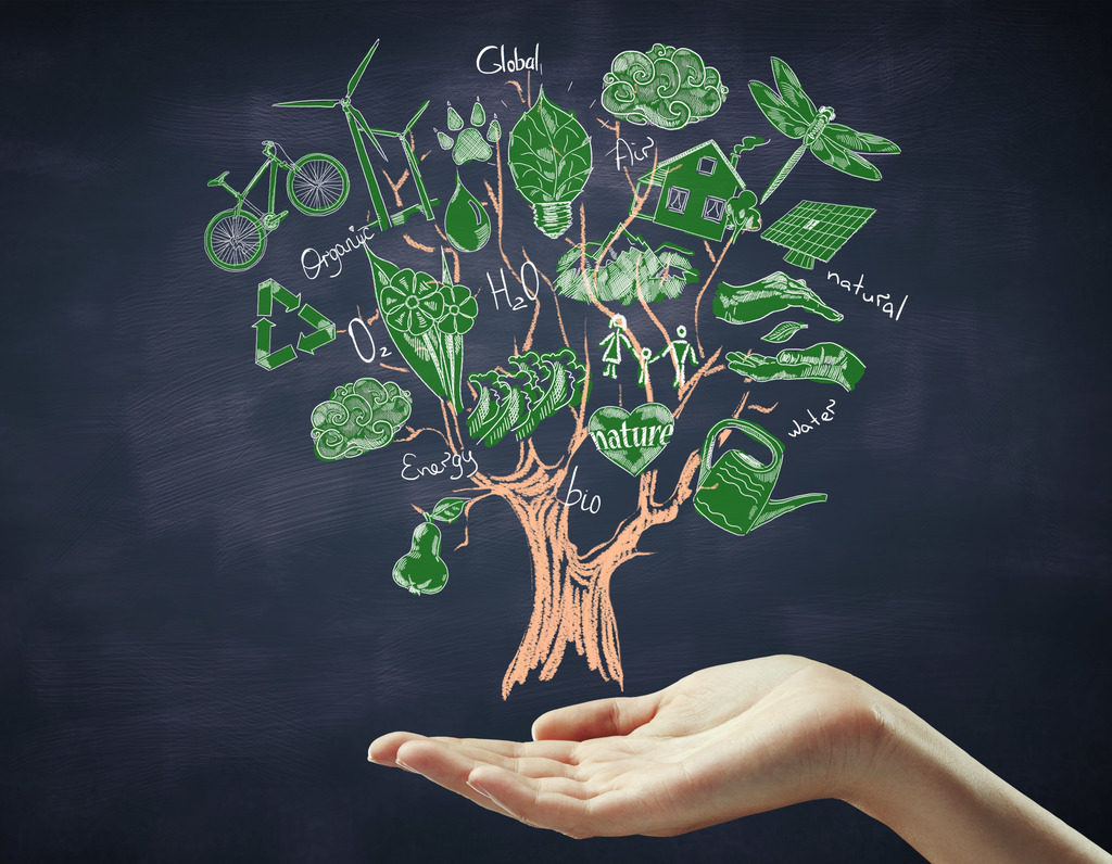 Environmental impact &#8211; in our daily operations