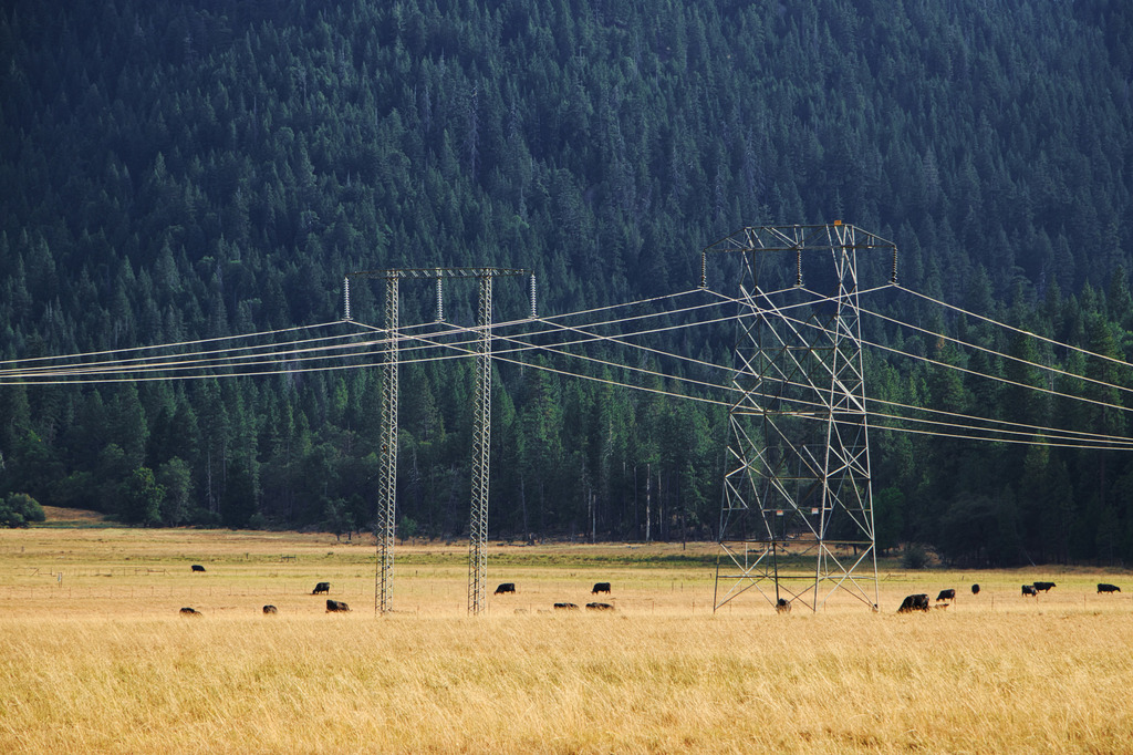 N-SIDE solves grid congestion