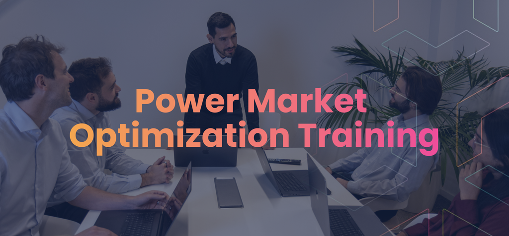 Power Market Optimization Training